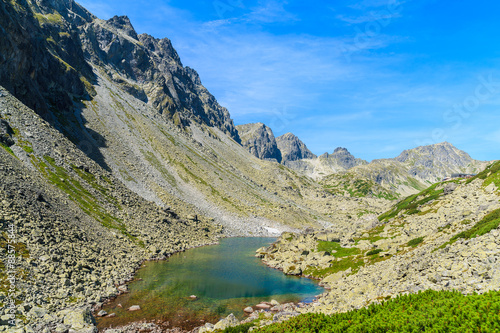 Fototapeta Naklejka Na Ścianę i Meble -  View of alpine lake in summer landscape of Starolesna valley, High Tatra Mountains, Slovakia