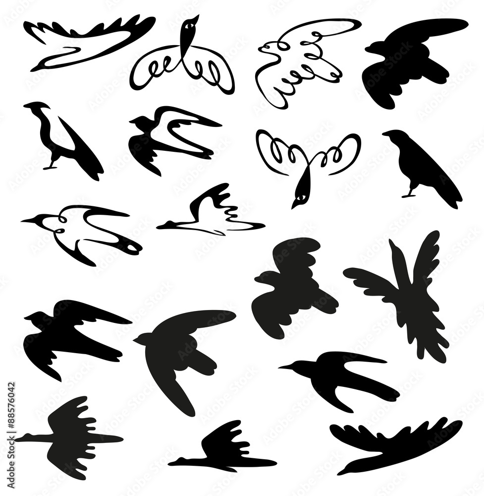 Fototapeta premium stylized birds and silhouettes