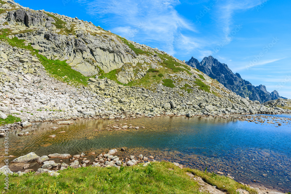 Fototapeta premium View of beautiful alpine lake in summer landscape of Starolesna valley, High Tatra Mountains, Slovakia
