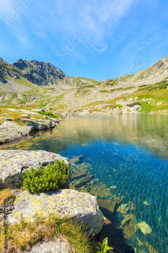 View of beautiful alpine lake in summer landscape of Starolesna valley  High Tatra Mountains  Slovakia