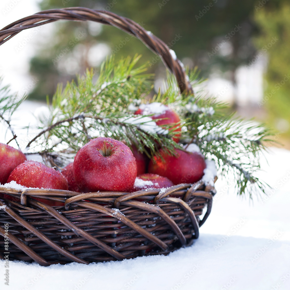Red apples in basket in snow, outside Red apples in basket in snow, outside