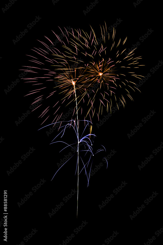 Fototapeta premium Multi-color Fireworks Burst