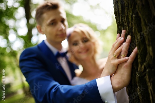 Newlyweds put hands with rings on a tree