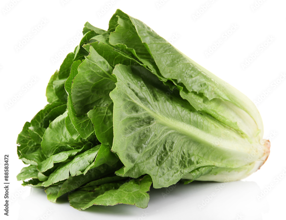 Lettuce isolated on white Lettuce isolated on white