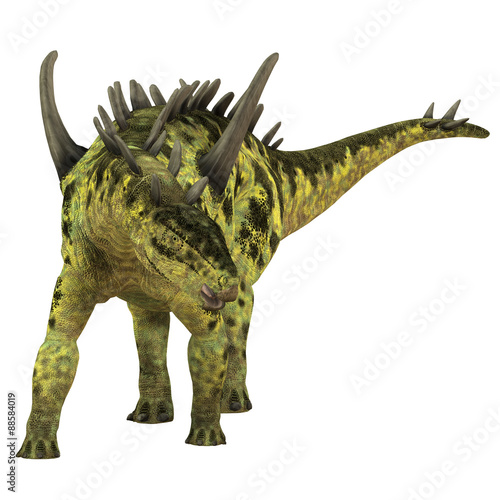 Fototapeta Naklejka Na Ścianę i Meble -  Gigantspinosaurus Herbivore Dinosaur - Gigantspinosaurus was a herbivorous Stegosaur dinosaur that lived in the Jurassic Age of China.