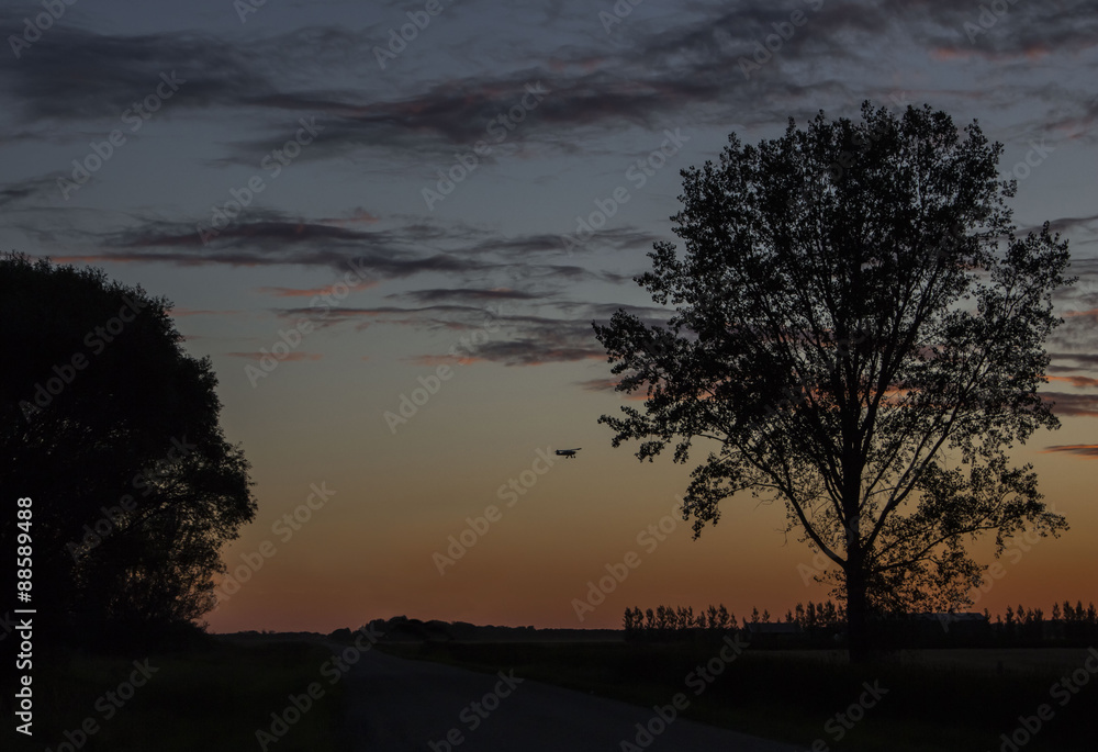 beautiful horizontal image of a evening sun sinking into the horizon with a small plane flying in the air flanked by silhouetted trees in the summer night. beautiful horizontal image of a evening sun sinking into the horizon with a small plane flying in the air flanked by silhouetted trees in the summer night.