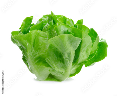 Lettuce Salad Isolated On White