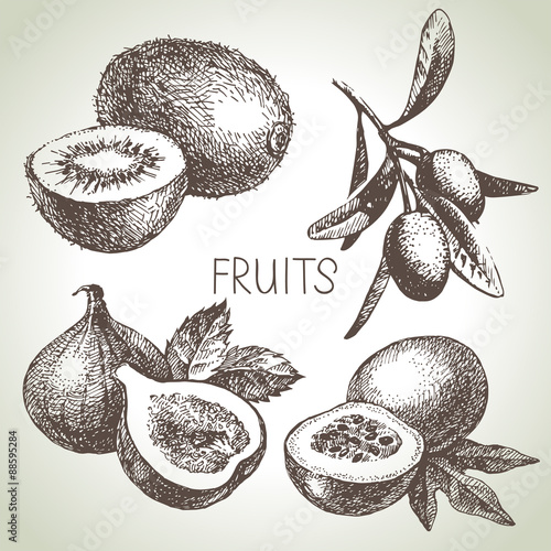 Hand drawn sketch fruit set. Eco foods. Vector illustration