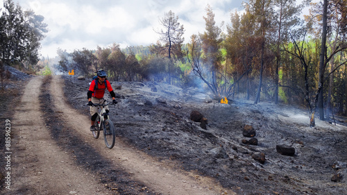 Bicyclist in burned forest