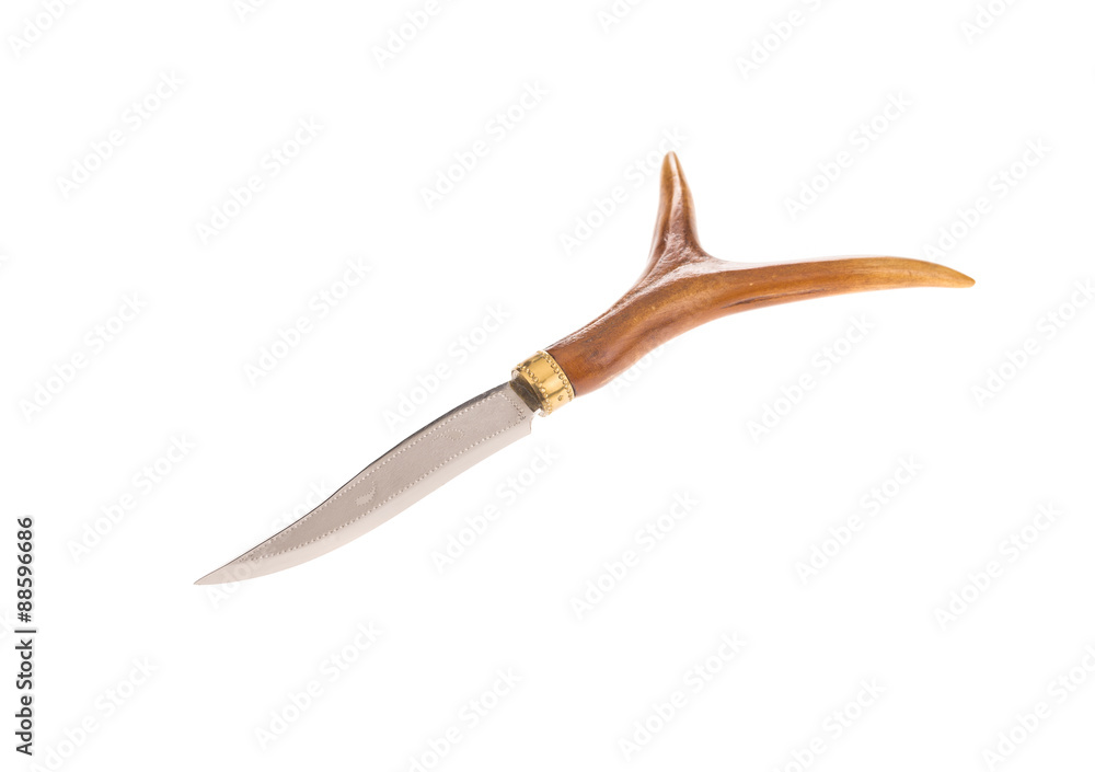 Obraz premium Bowie knife with bone grip.