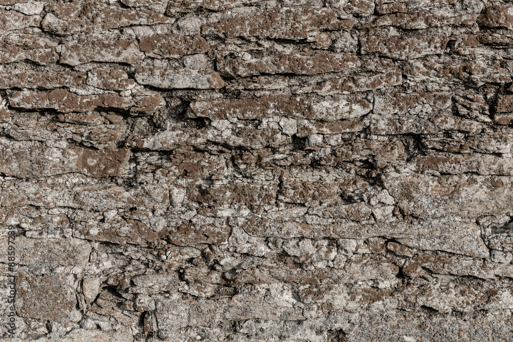 Naklejka premium Old stone wall texture with moss