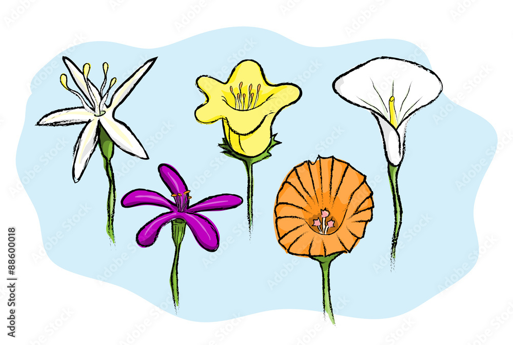 Flowers, a hand drawn vector illustration of flowers, all flowers and the background are on their separate groups for easy editing.