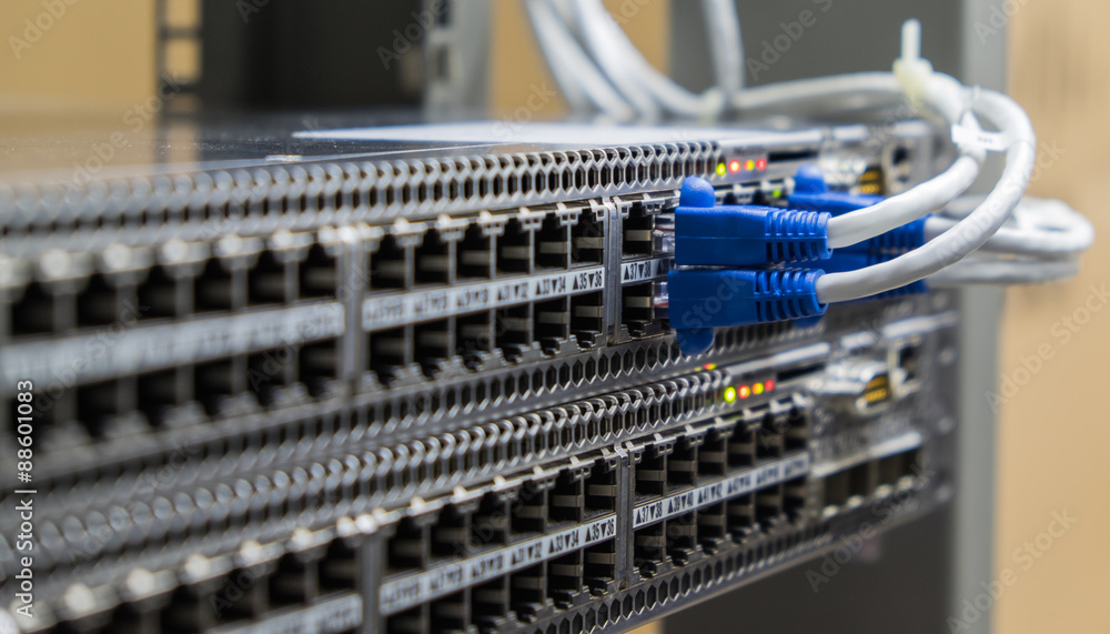 Lan utp cable plug in network switch Lan utp cable plug in network switch