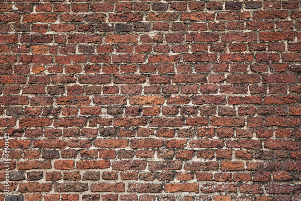 Obraz premium Brickwall