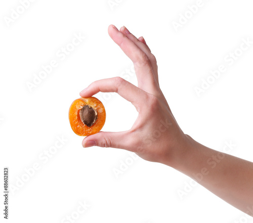 ripe apricots in a hand on a white background