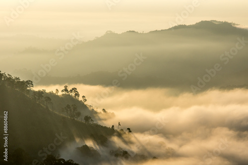 Mountain sea of mist
