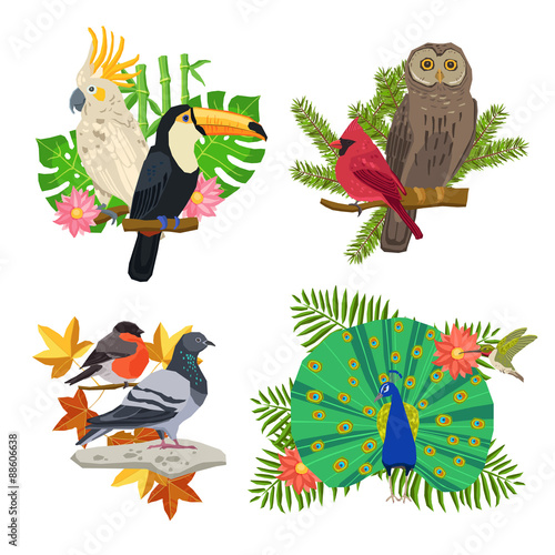 Birds And Flowers Set