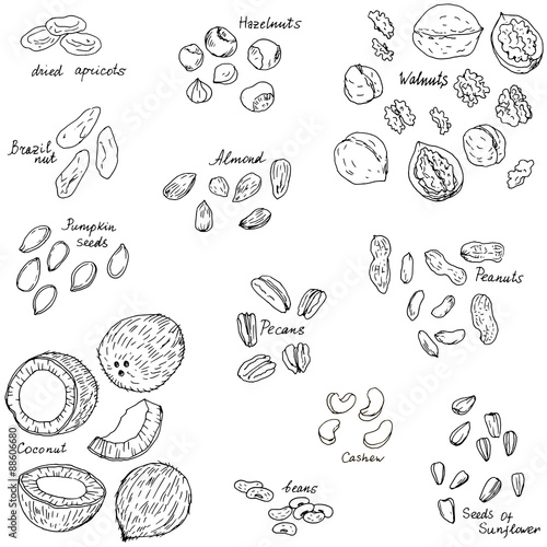 vector nuts set