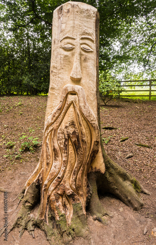 Tree carvings at Knaesborough, Yorkshire photo