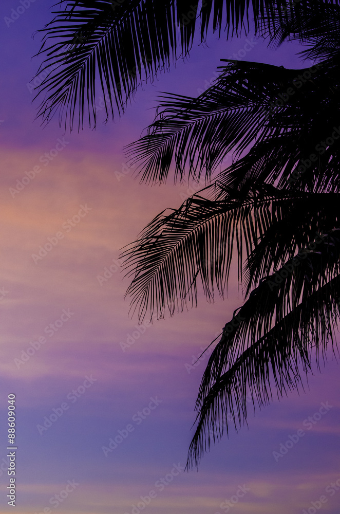 Silhouette of coconut trees with twilight sky background