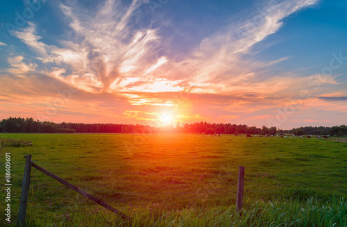 Fototapeta Naklejka Na Ścianę i Meble -  Beautiful orange sunset over the green fields.