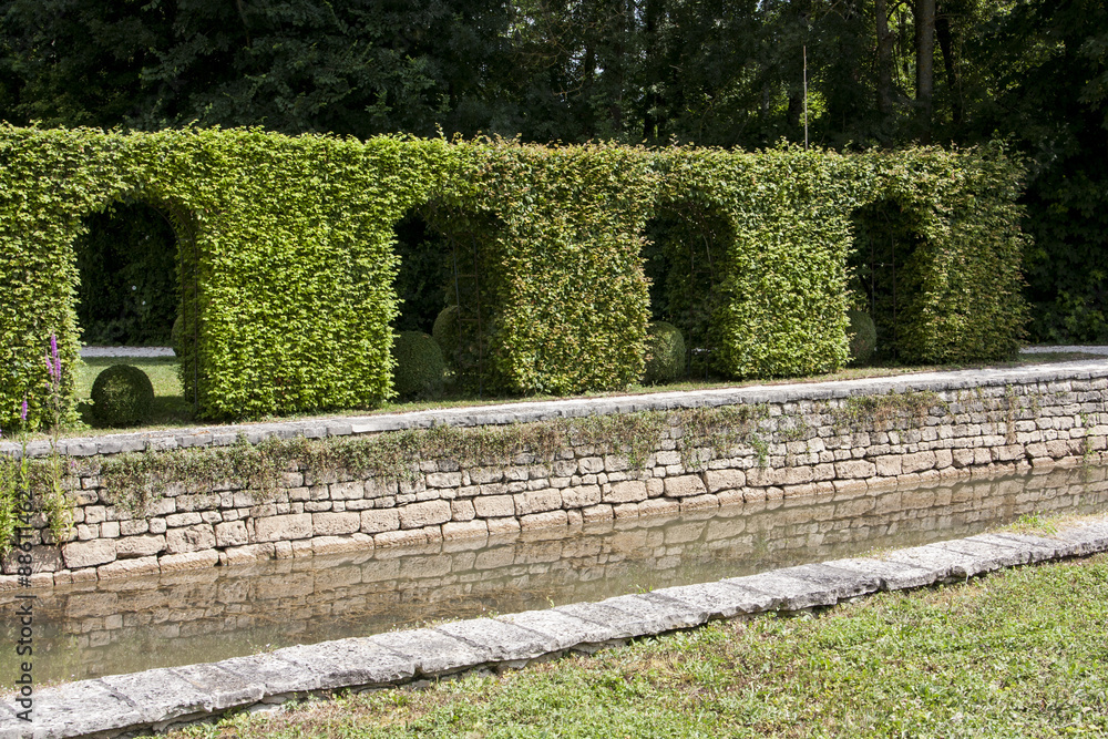 Obraz premium Formal hedge forming archways