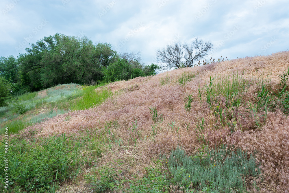 Colored slope.