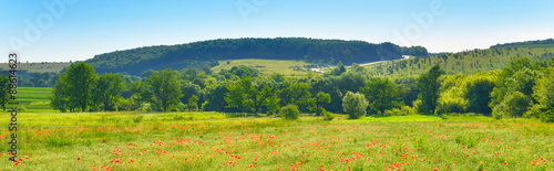 Summer countryside panorama
