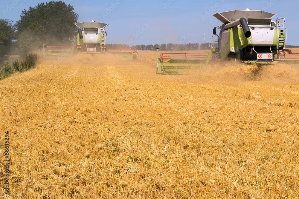 Fototapeta premium Gerstenernte mit Mähdrescher