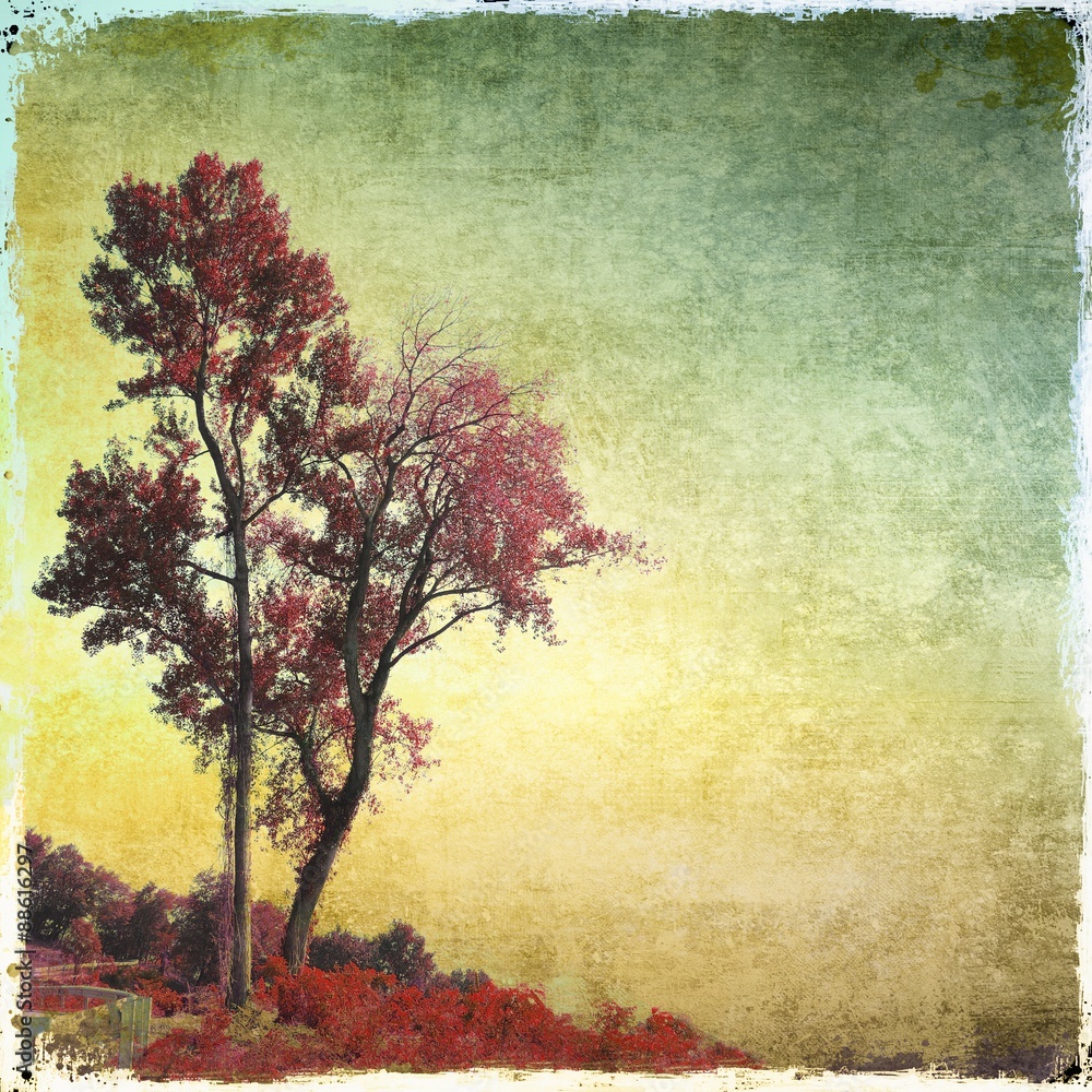 Grunge red trees background in evening