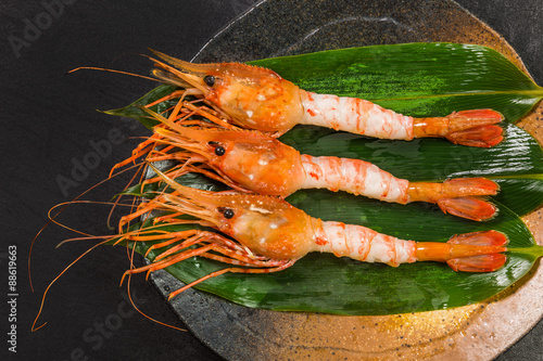 えびの刺身 Sashimi Of The Pandalus Nipponensis Stock Photo Adobe Stock えびの刺身 Sashimi Of The Pandalus Nipponensis Stock Photo Adobe Stock