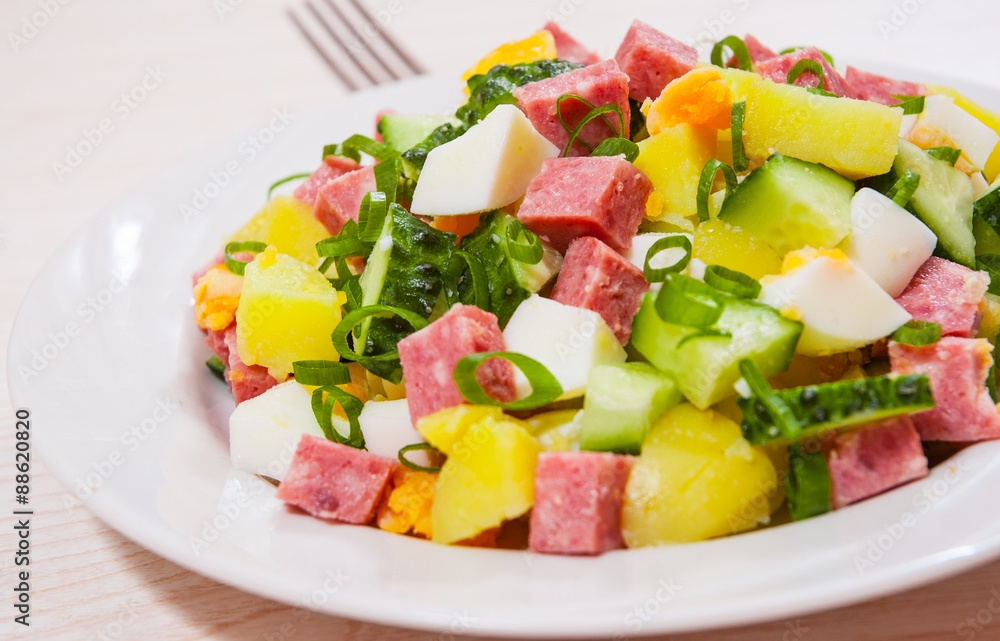 Fresh salad with potato, egg, salami, cucumber and green onion Fresh salad with potato, egg, salami, cucumber and green onion