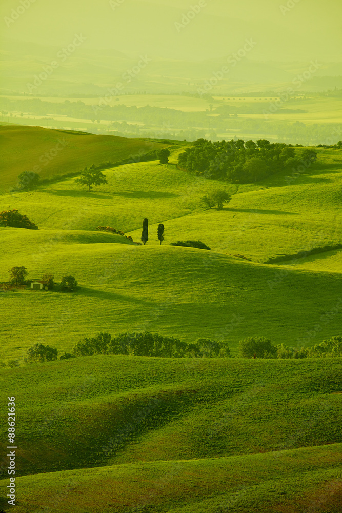 Obraz premium Green Tuscany hills