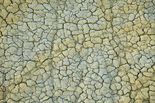 detail of a cracked earth