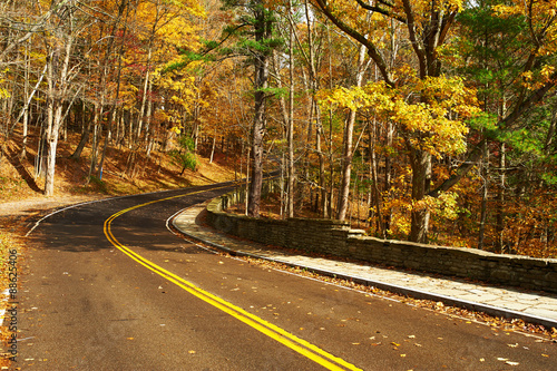 Autumn scene with road in forest