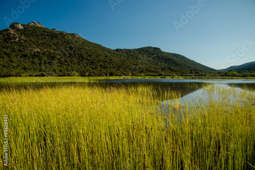 Marais en Corse formé à l'arrière d'une plage