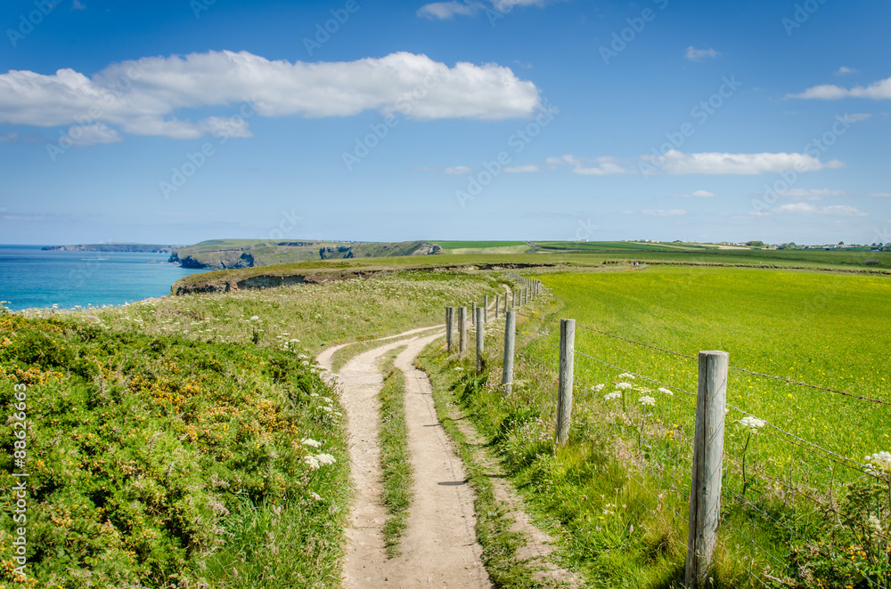 Clifftop Path along the Coast of Cornwall