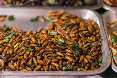 Heap of fried caterpillars for sale in Thailand fresh food market © joeyphoto