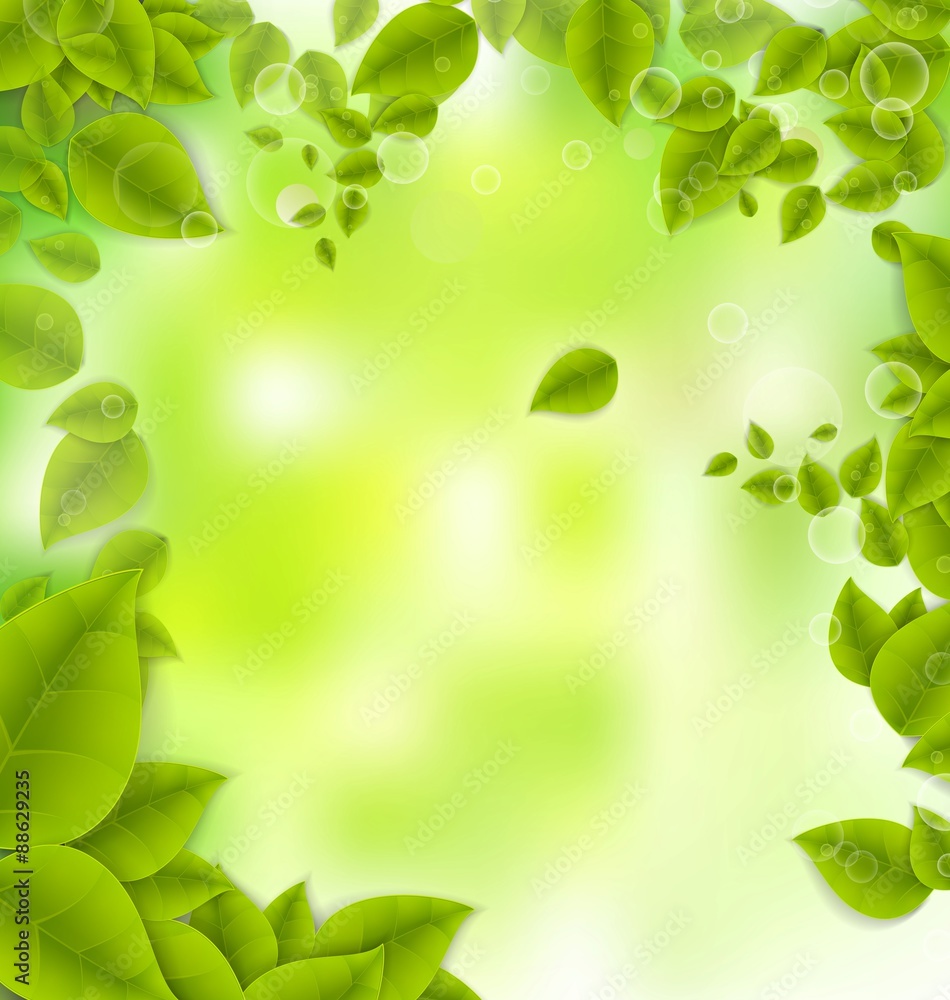 Realistic Leaves Background with Space
Realistic Leaves Background with Space