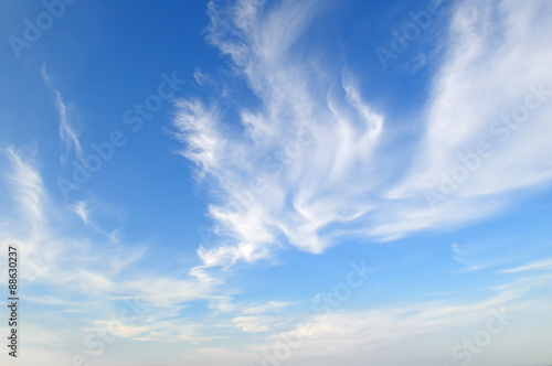 Canvas Print plumose clouds in the blue sky