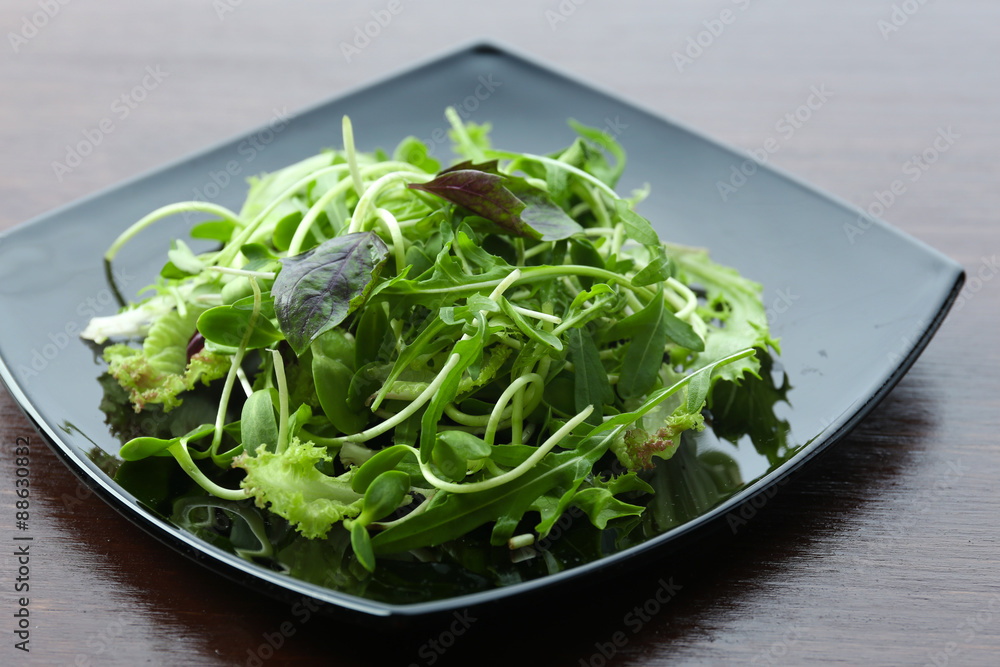 Plate of fresh mixed green salad on wooden table close up Plate of fresh mixed green salad on wooden table close up