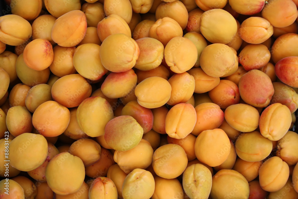 apricots