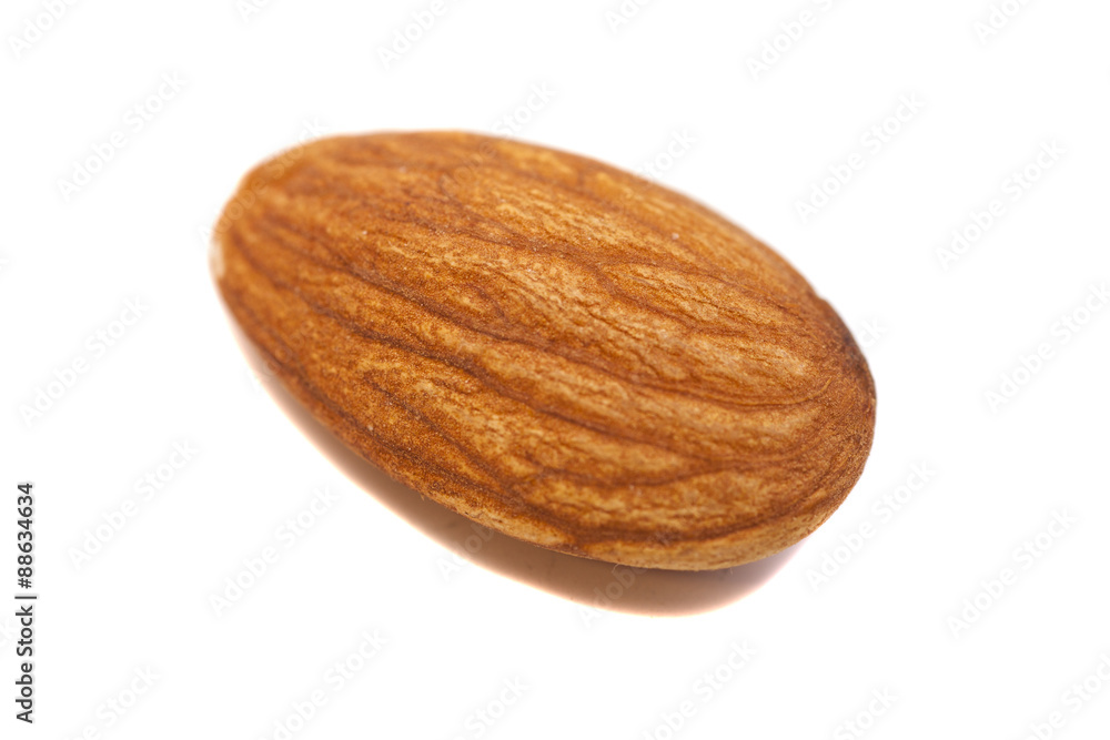 Single Almond Seed Close up Extreme Macro Shot isolated on a whi Single Almond Seed Close up Extreme Macro Shot isolated on a whi