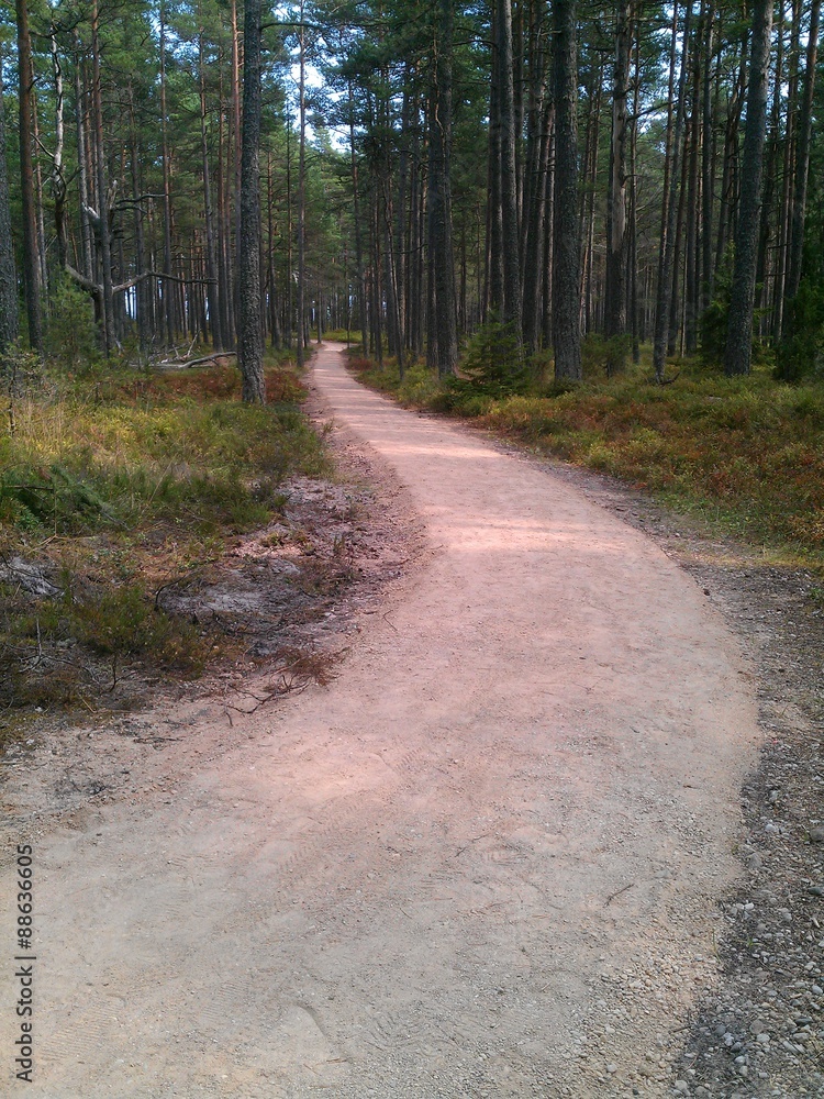 Fototapeta premium Sandweg Lettland