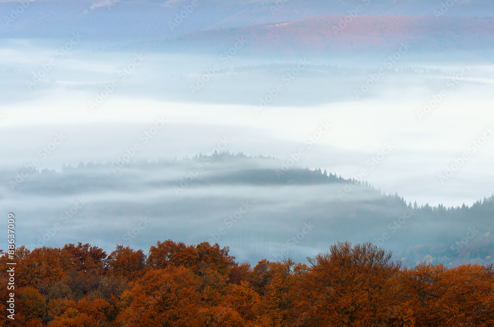 Fototapeta premium Fog in the mountains