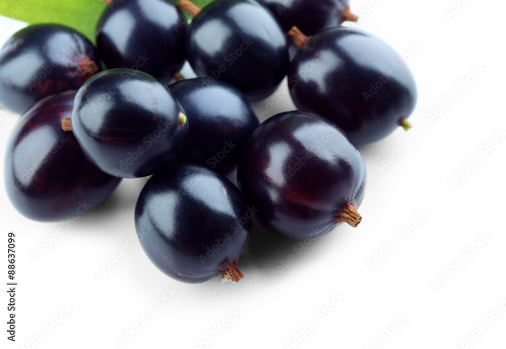 Wild black currant with green leaves isolated on white Wild black currant with green leaves isolated on white