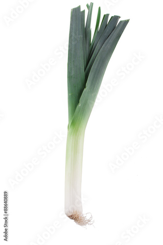 leek isolated on white background