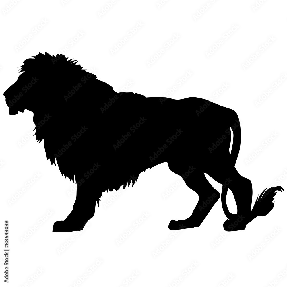 Vector silhouette of a lion