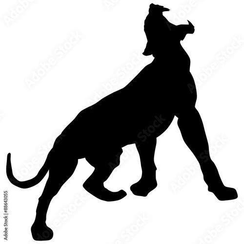 Vector black monster panther roars loudly