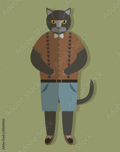 Cat fashion